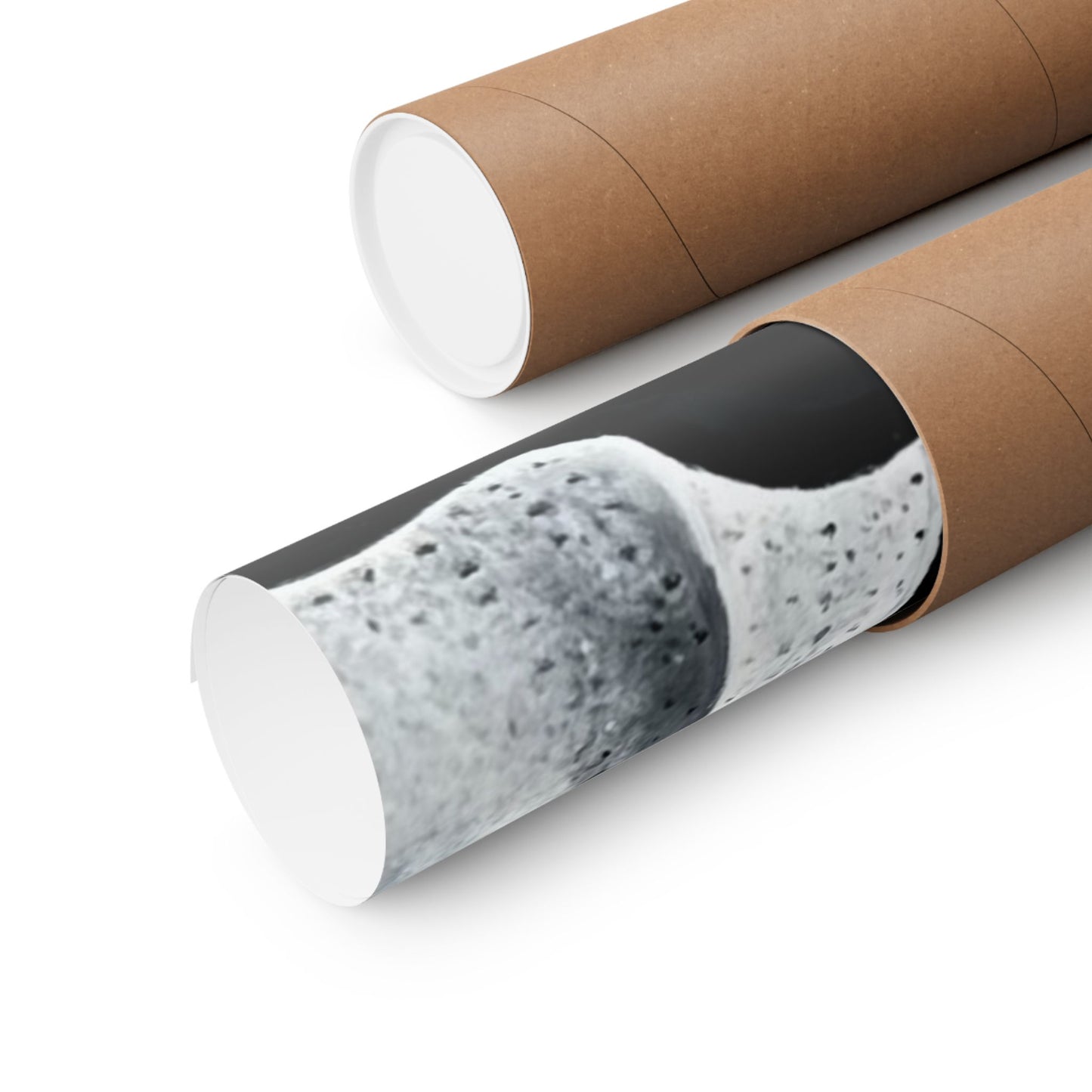 2Pac print of original painting by Lola Buckwald