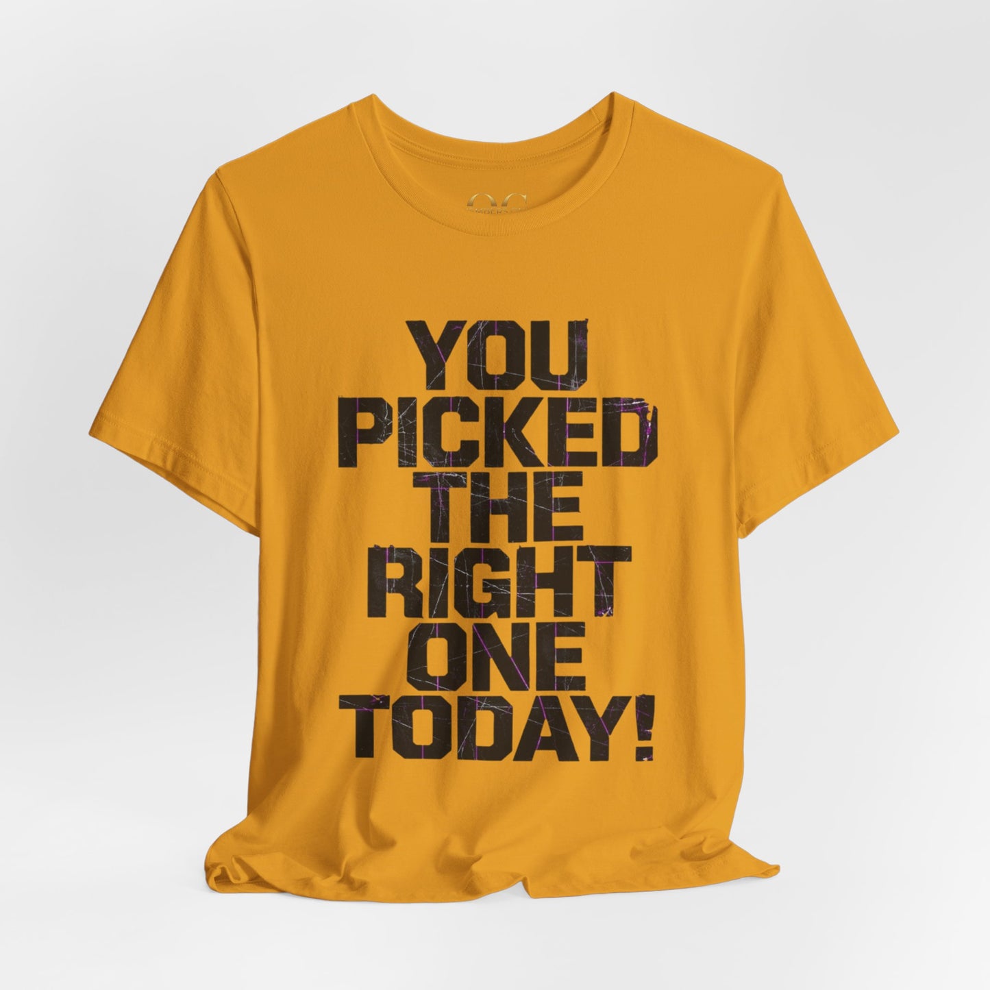 You Picked The Right One Today! OG Tee