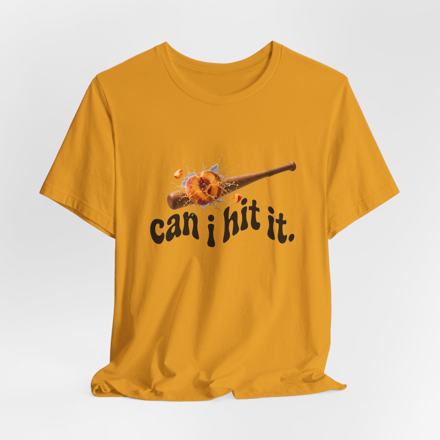 Can I Hit It OG Tee