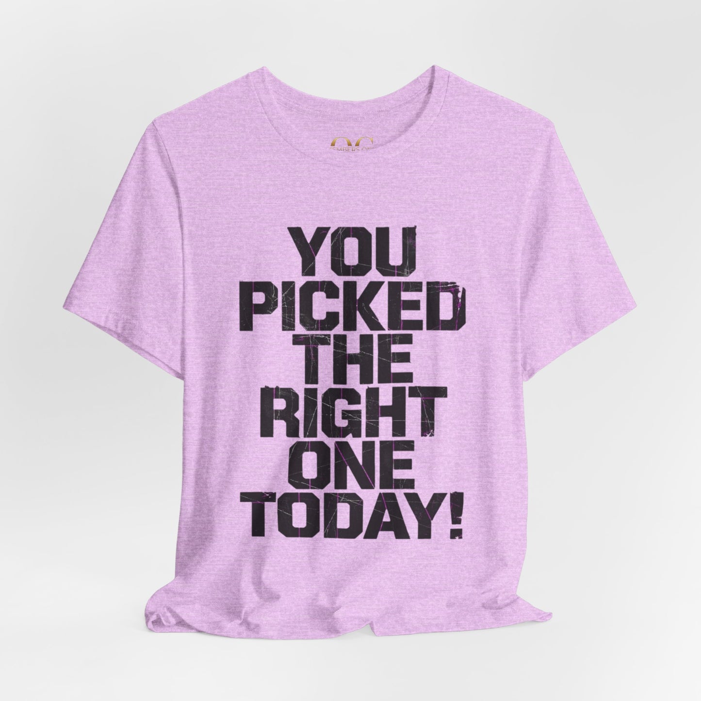 You Picked The Right One Today! OG Tee