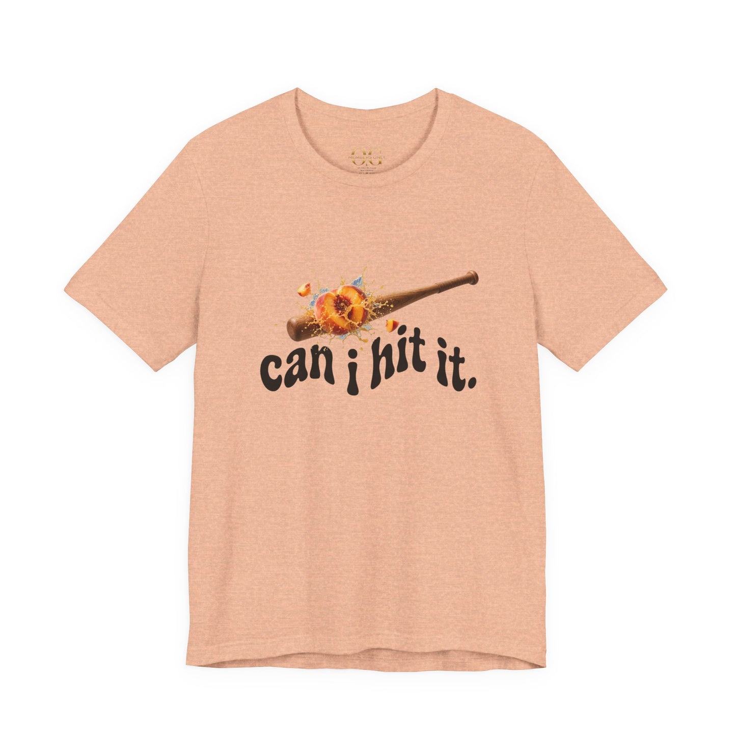 Can I Hit It OG Tee