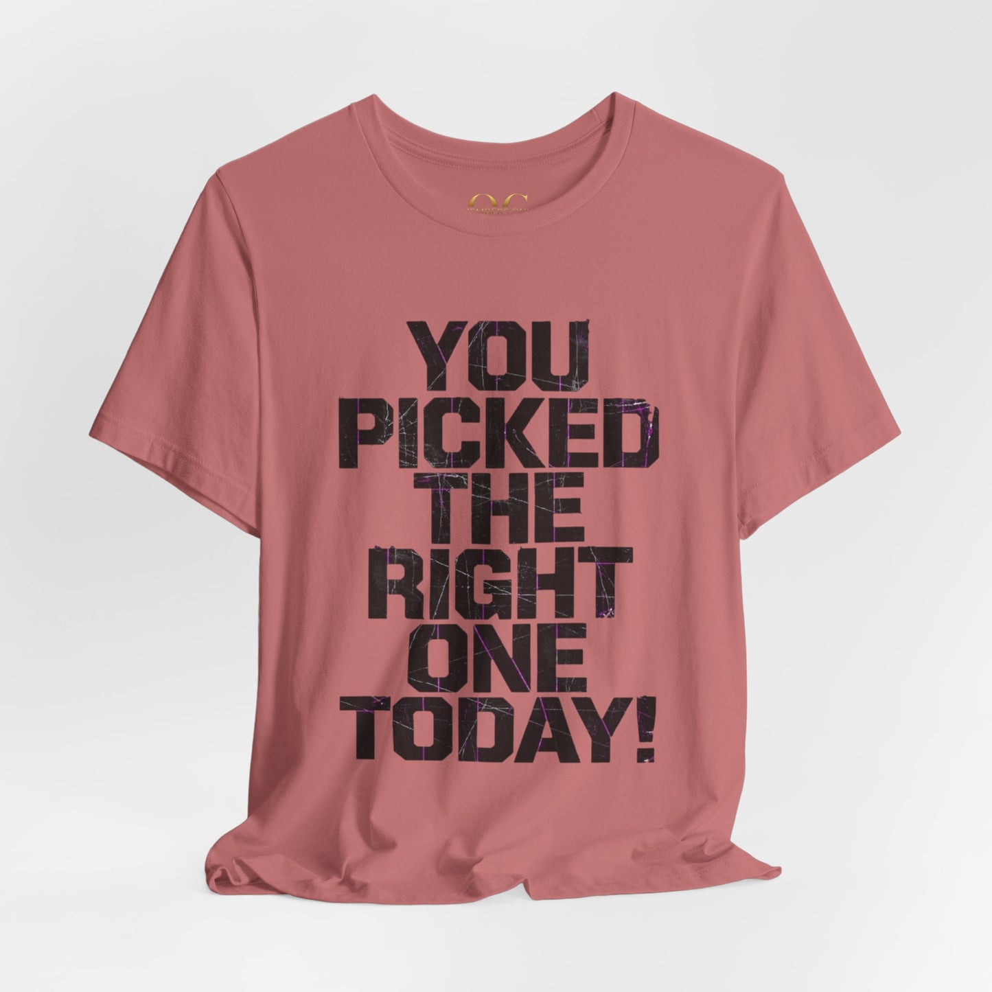 You Picked The Right One Today! OG Tee