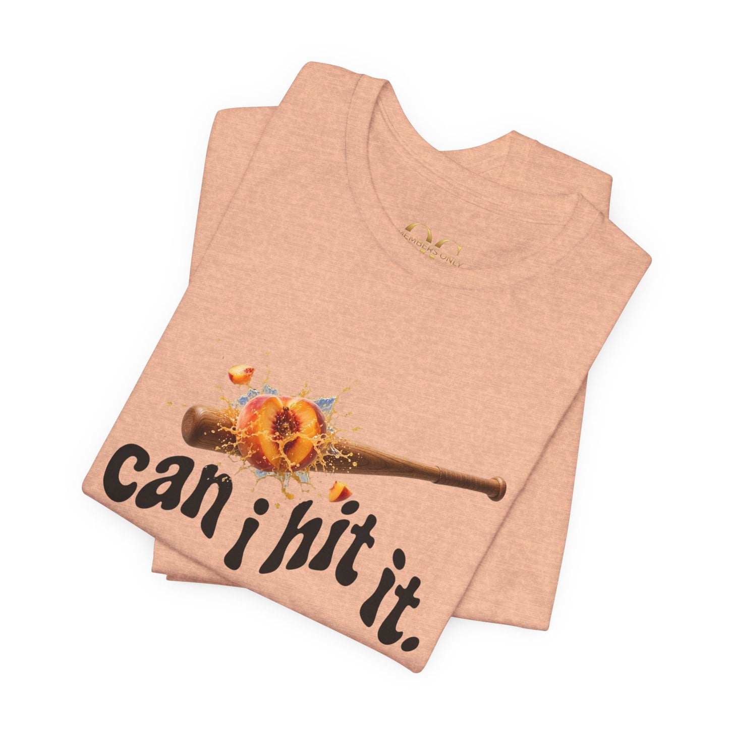 Can I Hit It OG Tee