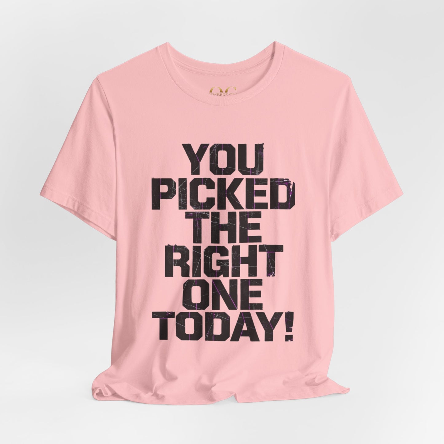 You Picked The Right One Today! OG Tee